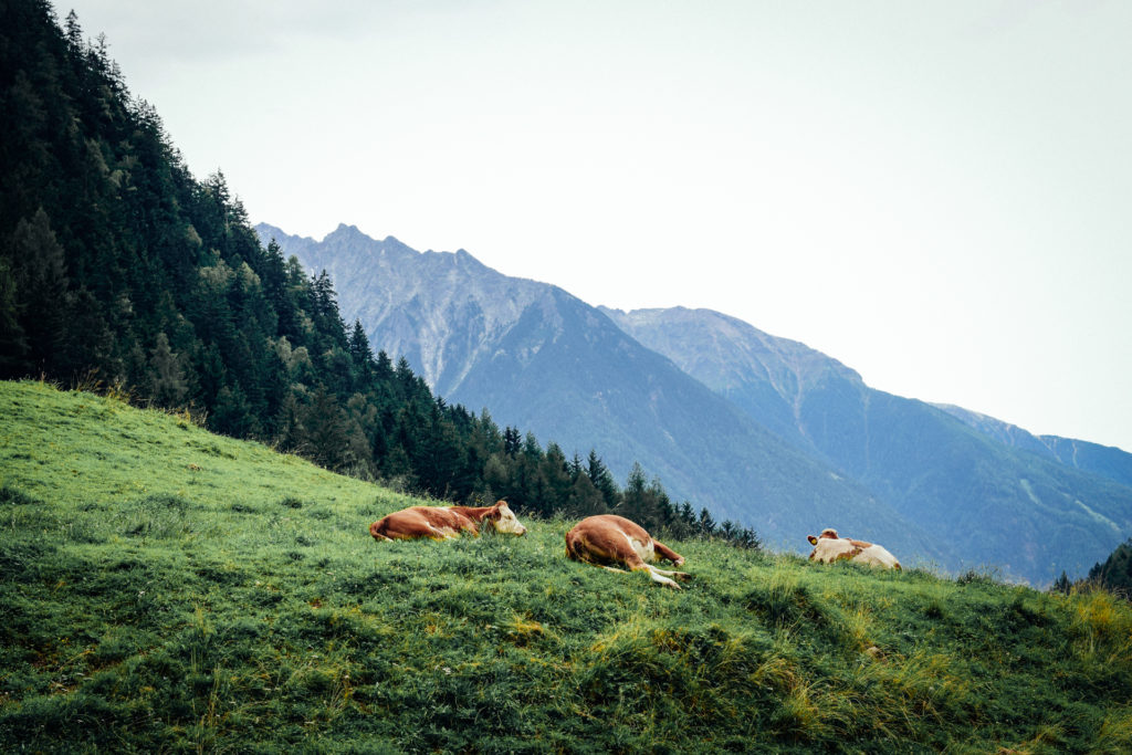 Süd Tirol | Photographic Reports | Solène Roussel